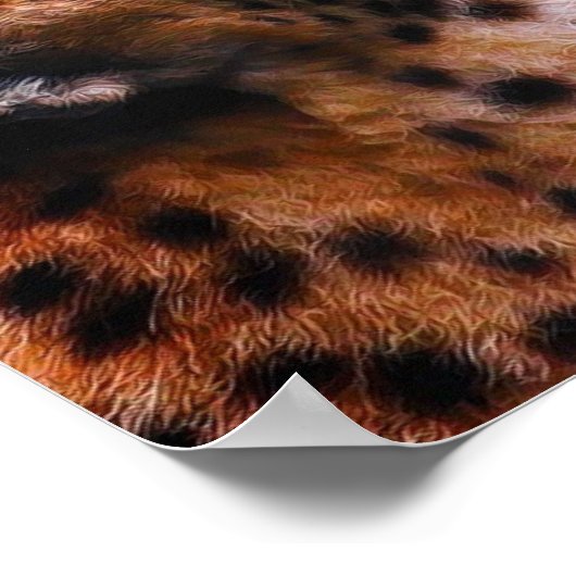 TCWC - Vrede op Aarde Cheetah Poster (Hoek)