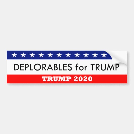 Te betreuren punten voor Trump 2020 Bumpersticker (Voorkant)