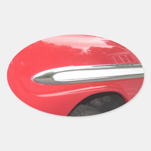 Te Chrome! Te cool! Ovale Sticker (Voorkant)