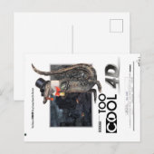 Te cool Briefkaart voor 4D "King Badass"-Alligator (Voorkant / Achterkant)