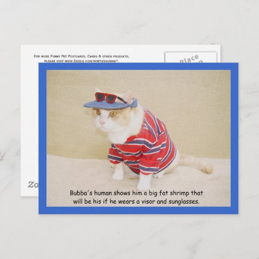 Te Cool Bubba Kat Briefkaart (Voorkant / Achterkant)