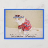 Te Cool Bubba Kat Briefkaart (Voorkant)