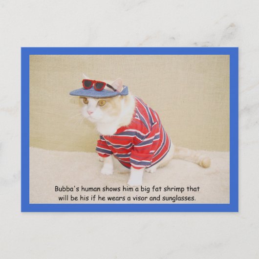 Te Cool Bubba Kat Briefkaart (Voorkant)