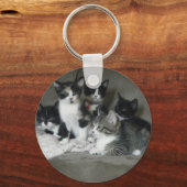 Te Cute Kittens Sleutelhanger (Voorkant)