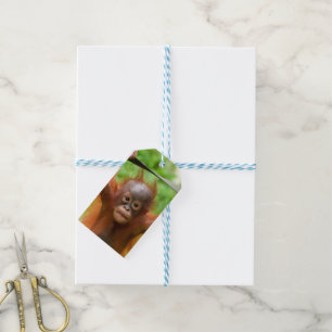Te Cute om te Hanteren – Kleine Orang-oetan Cadeaulabel