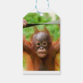 Te Cute om te Hanteren – Kleine Orang-oetan Cadeaulabel (Achterkant)