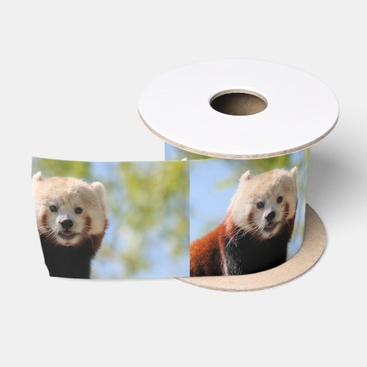 Te duur schattig lint (Spoel)