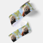 Te duur schattig lint (Achterkant)