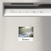 Te gebruiken woorden: bestaan magneet (Insitu (Vaatwasser))