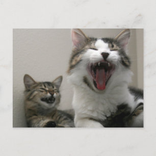 Te grappig briefkaart