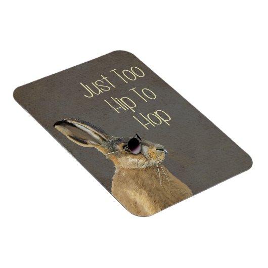 Te hoog om grijs te verbergen magneet (Rechterzijde)