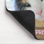 TE KAT OM TE WERKEN MUISMAT (Hoek)