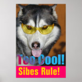 Te koel Poster (Voorkant)