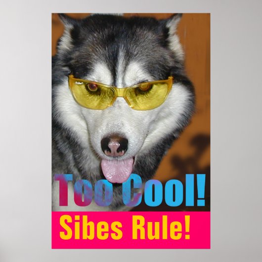 Te koel Poster (Voorkant)