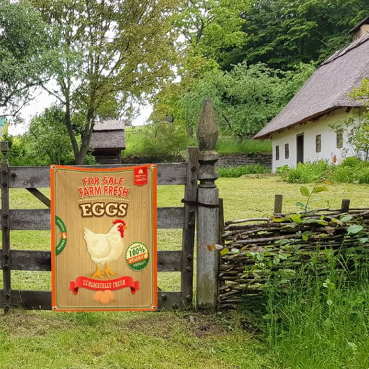 Te koop Boerderij Verse Biologische Eieren Spandoek