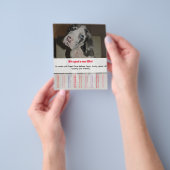 Te koop Dane Puppies Flyer (Hand)
