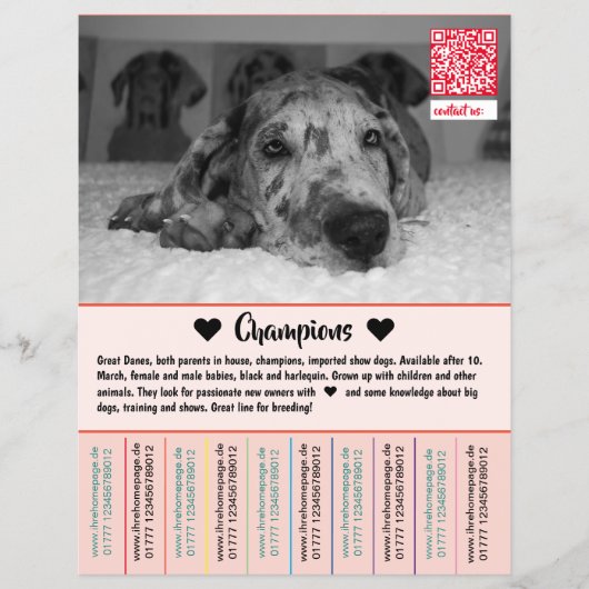 Te Koop Dane Pups Flyer (Voorkant)