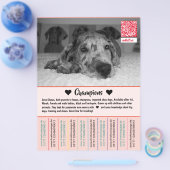 Te Koop Dane Pups Flyer (Enkel)