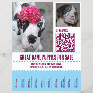 Te Koop Flyer