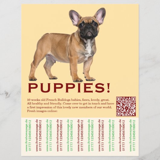 Te koop Frenchies Puppy Flyer (Voorkant)