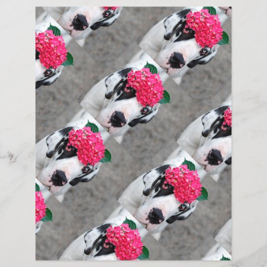 Te Koop Pups Flyer (Achterkant)