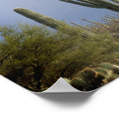 Te late middag in de woestijn poster (Hoek)