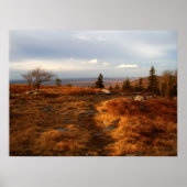 Te late middag op de Sods Poster (Voorkant)