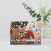 Te lenigen voor de lijst van aughty Funny Dog Pet Briefkaart (Staand voorkant)