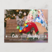 Te lenigen voor de lijst van aughty Funny Dog Pet Briefkaart (Voorkant)