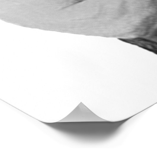 Te Manly Man Meme Poster (Hoek)