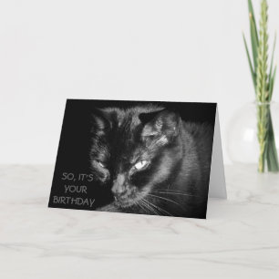 Te Oud om de Kat te voeden? Kaart