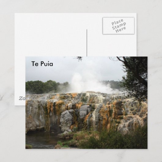 Te Puia Briefkaart (Voorkant / Achterkant)