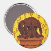 Te schattig Dachshund Puppy Magnet (Voorkant / Achterkant)