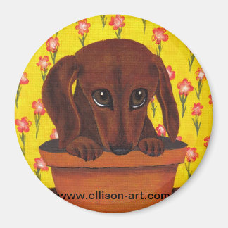 Te schattig Dachshund Puppy Magnet