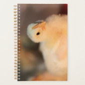 Te schattig planner (Voorkant)