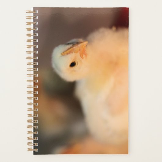 Te schattig planner (Voorkant)