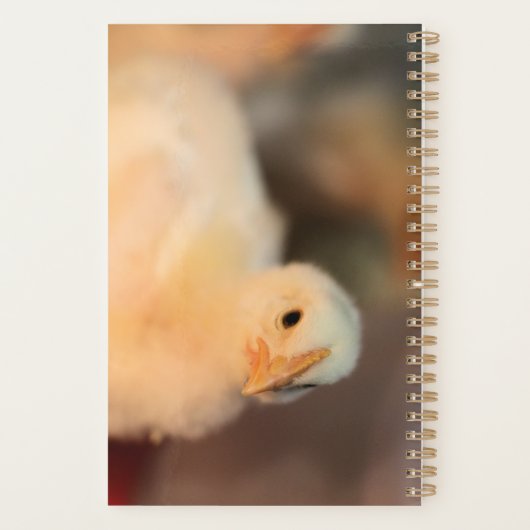 Te schattig planner (Achterkant)