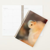 Te schattig planner (Display)