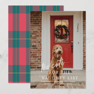 Te Schattige voor de Naughty List Pet Photo Holida Kaart