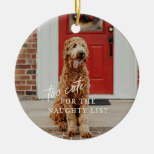 Te Schattige voor het Naughty List Pet Ornament