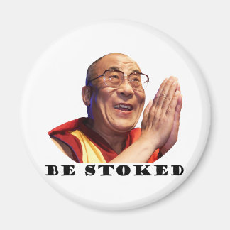 Te stoppen magneet