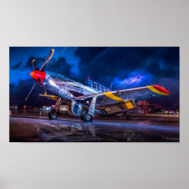 Te stormachtig om te vliegen poster