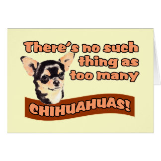 "Te veel Chihuahuas"