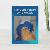 Te veel gelofde Birthday Card Dog Kaart (Voorkant)