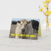 Te veel kaarsen Grappig OTH Gelukkige Verjaardag Kaart (Gele Bloem)