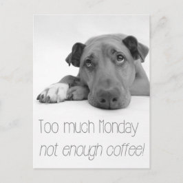 Te veel maandag, niet genoeg koffie - Slaperige ho Briefkaart