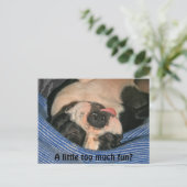 Te veel plezier? Boston Terrier Post Card Briefkaart (Staand voorkant)