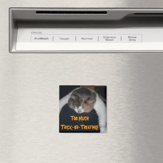 Te veel troep-of-Treating! Magneet (Insitu (Vaatwasser))