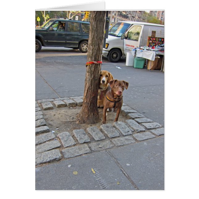 Te wachten ...  5 x 7 (Voorkant)