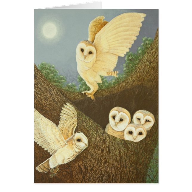 Te wachten en te wachten tot 2013 (Voorkant)